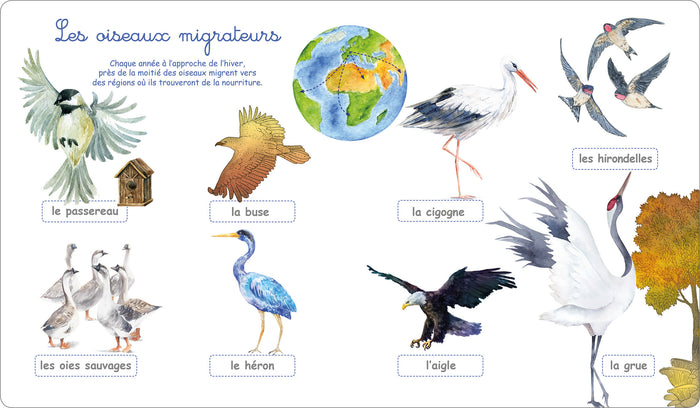 Le grand imagier Montessori de la nature