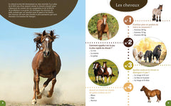 Les animaux de la ferme: 40 questions/réponses