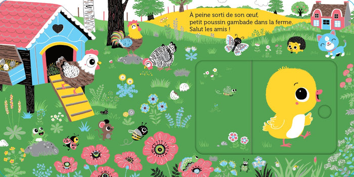 Promenade avec petit poussin