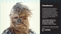 Star Wars - Calendrier 365 jours