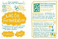 Fermenter presque tout avec presque rien