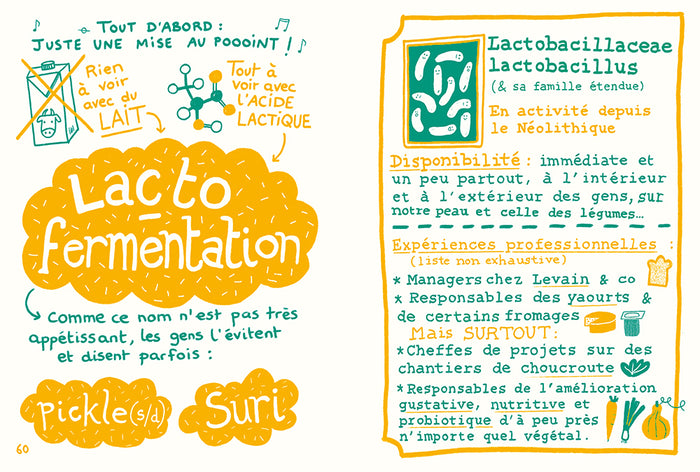 Fermenter presque tout avec presque rien