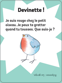 Coffret Le quiz du corps humain de Cymes