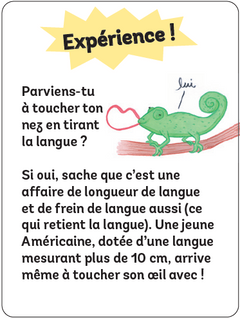 Coffret Le quiz du corps humain de Cymes