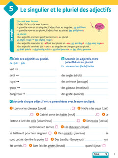 Le BLED Effaçable Orthographe CE1