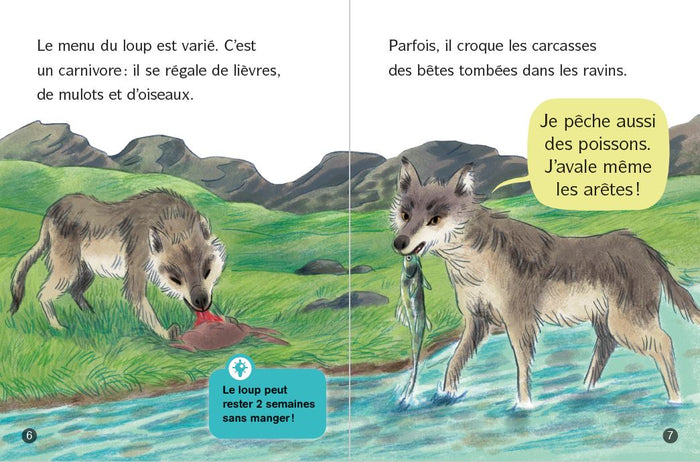 Tout sur les loups !