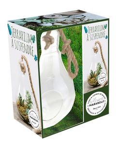Coffret Ampoule terrarium