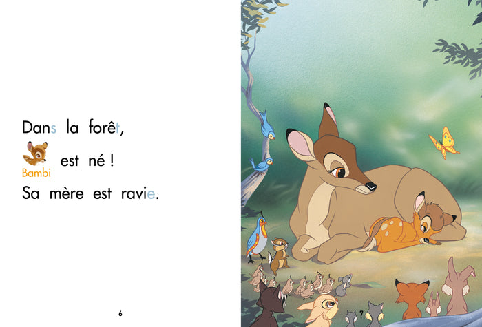 Bambi, CP Niveau 1