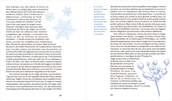 Une mathématicienne au jardin