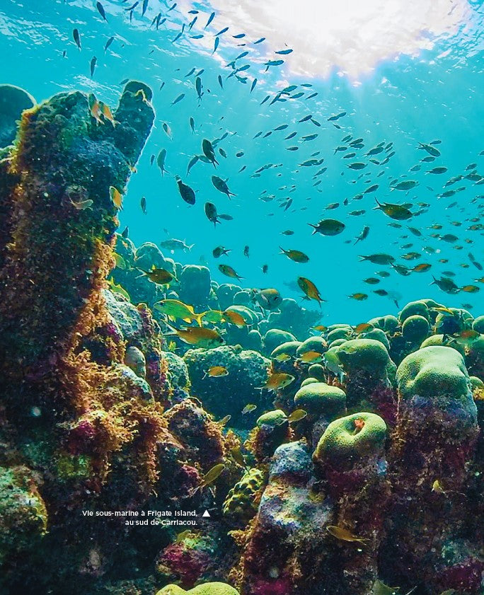 La belle vie Sailing