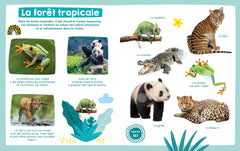 Mon imagier sonore - Les animaux sauvages