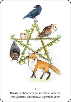 Les messagers de la nature - Cartes oracle
