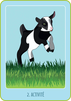 Mon Oracle poche du bien-être animal