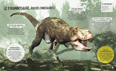 Questions Réponses : Tous les dinosaures