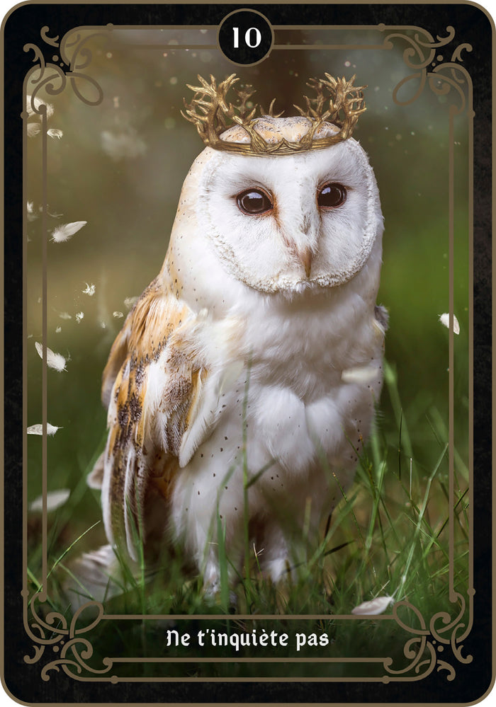 La réponse est là - Cartes oracle