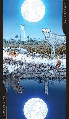 Coffret le tarot des oppositions