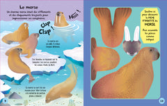 Je construis mes animaux marins en 3D