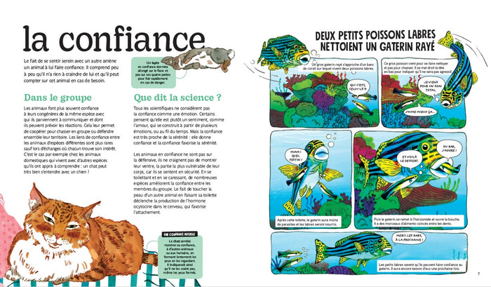 Les émotions des animaux