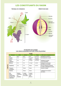 Les vins de France et du monde