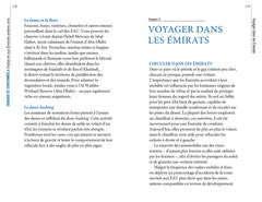 Dubaï et les Emirats arabes unis : le petit guide des usages et coutumes