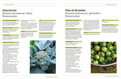 Silence, ça pousse ! Le jardin et le Potager de Stéphane Marie