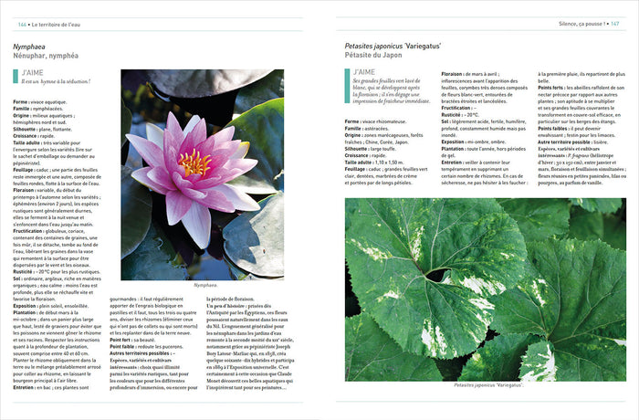 Silence, ça pousse ! Le jardin et le Potager de Stéphane Marie