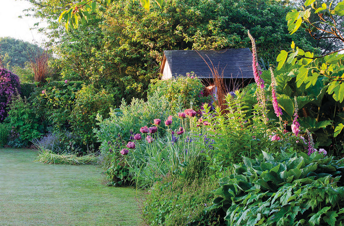 Silence, ça pousse ! Le jardin et le Potager de Stéphane Marie