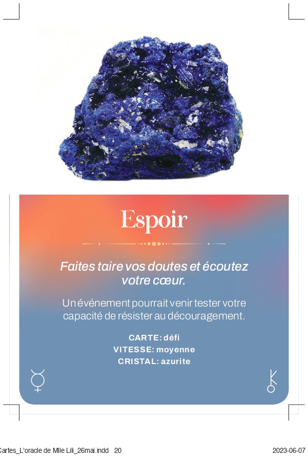 L'oracle de Mademoiselle Lili