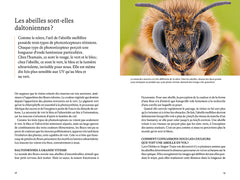 Les super-pouvoirs des abeilles - Ce que nous dit la science