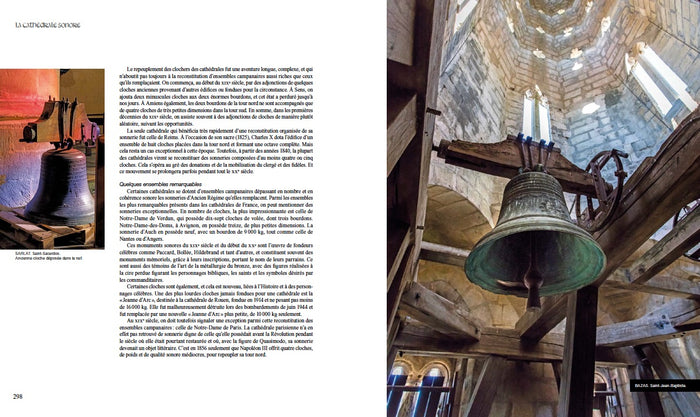 La grâce des cathédrales - Une esthétique du sacré