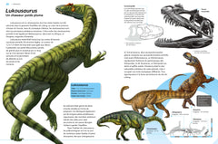 Dinosaures - Apparition, rayonnement, extinction