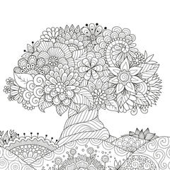 Coffret coloriage - Paradis secret