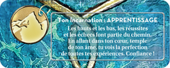 Le petit oracle de la mission d'âme