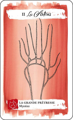 Tarot du corps - Explorez vos désirs à travers les messages de votre corps