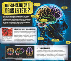 Le cerveau en réalité augmentée