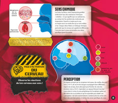 Le cerveau en réalité augmentée
