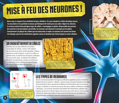 Le cerveau en réalité augmentée