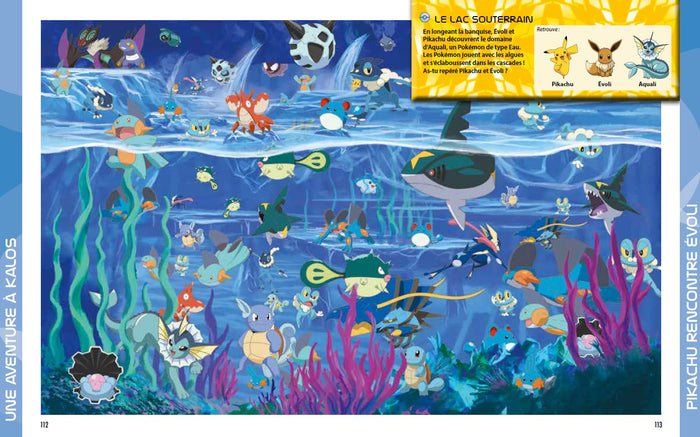 Pokémon - L'intégrale des neuf régions