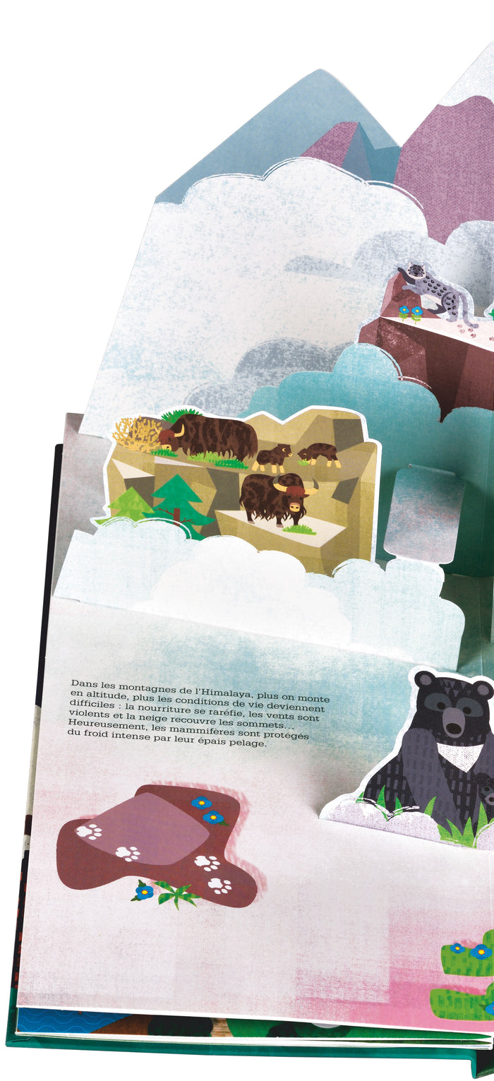 De plus en plus haut