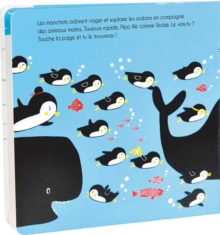 Où te caches-tu Pipo ?