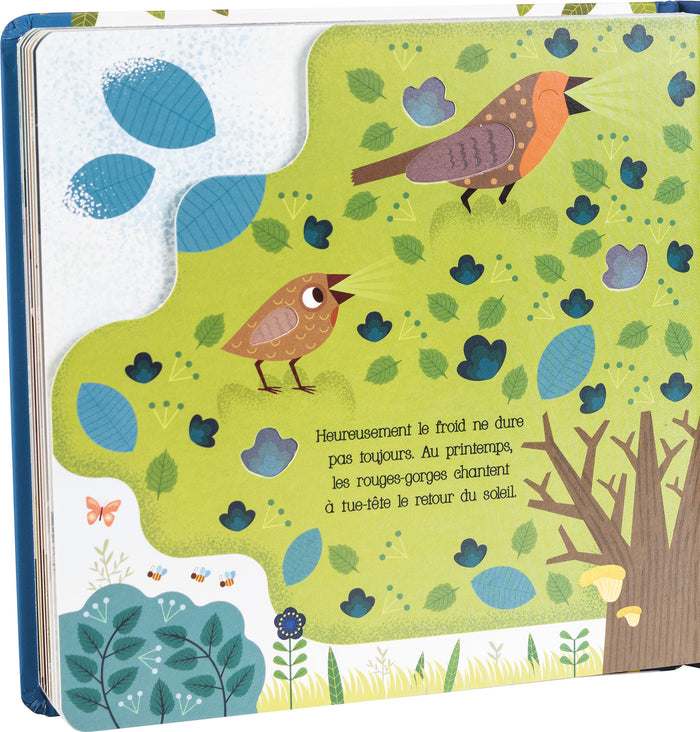 Deux petits rouges-gorges