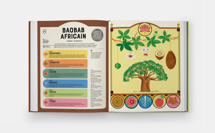 Superplantes superpouvoirs