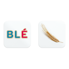 Boîte Memory des mots - Céline Alverez Les lectures naturelles