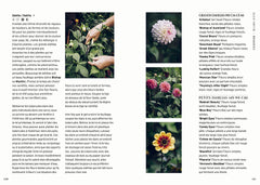 Cultiver en pots toute l'année