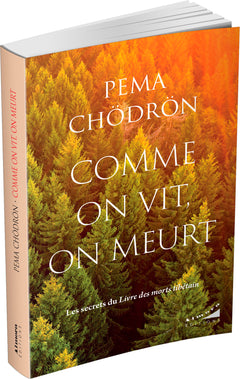 Comme on vit, on meurt - Les secrets du Livre des morts tibétain