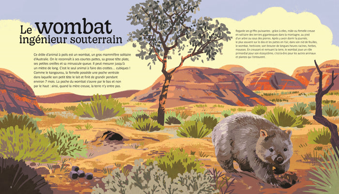 Nos héros les animaux