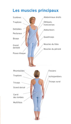 La méthode Pilates - Le guide complet des principales séries d'exercices