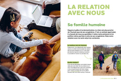 Pourquoi mon chien fait-il ça?