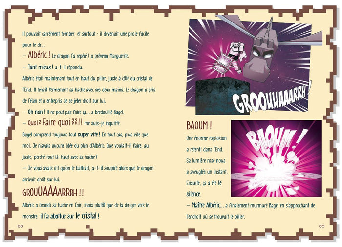 Journal d'un petit noob - Bienvenue dans l'End