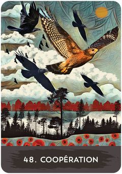 Coffret Oracle du corbeau